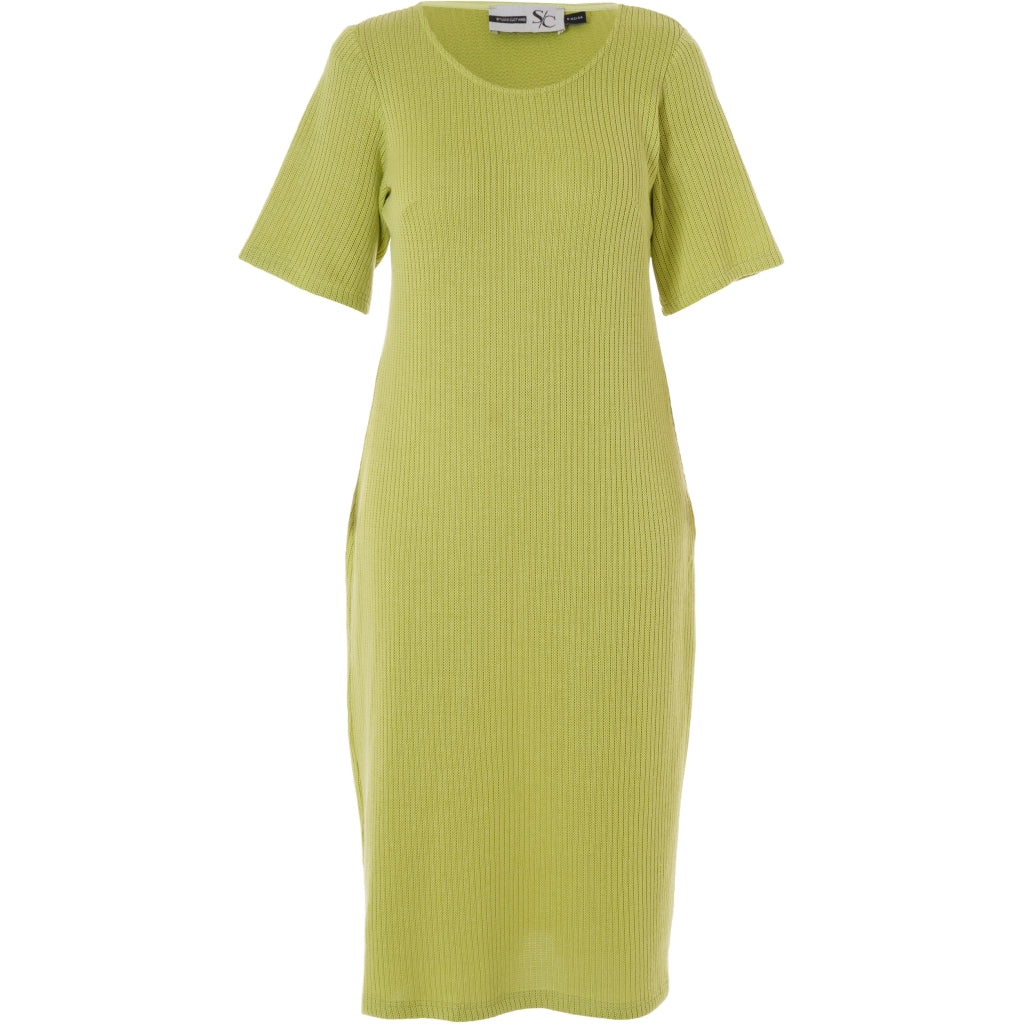 Studio SFrancini tight dress Dress Light Green