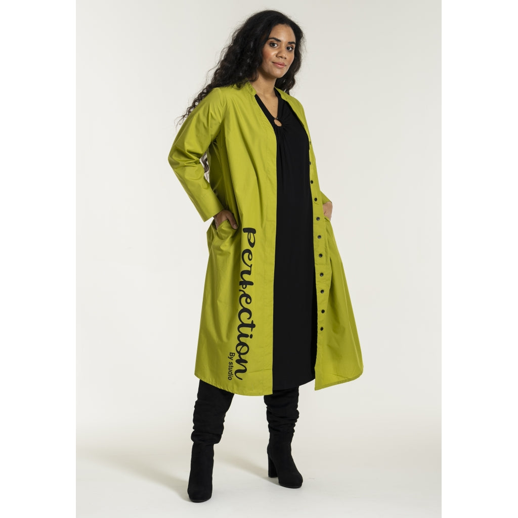 Studio SJean Shirt Dress Shirt Dress Green