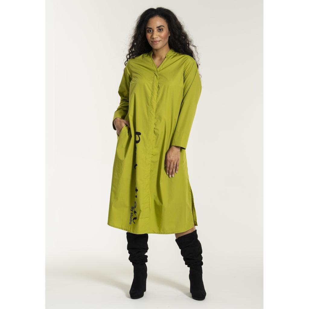 Studio SJean Shirt Dress Shirt Dress Green