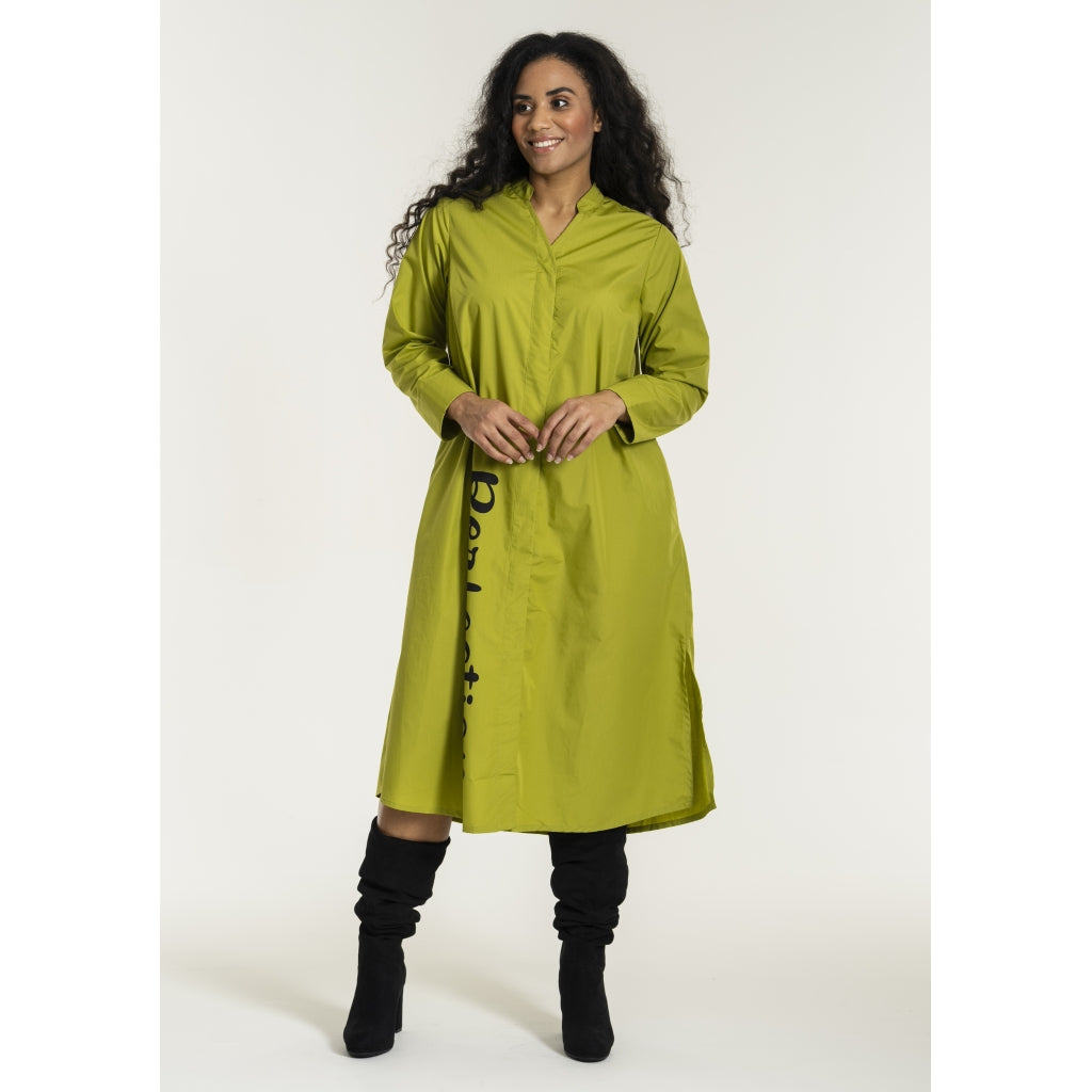 Studio SJean Shirt Dress Shirt Dress Green