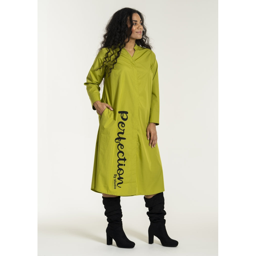 Studio SJean Shirt Dress Shirt Dress Green