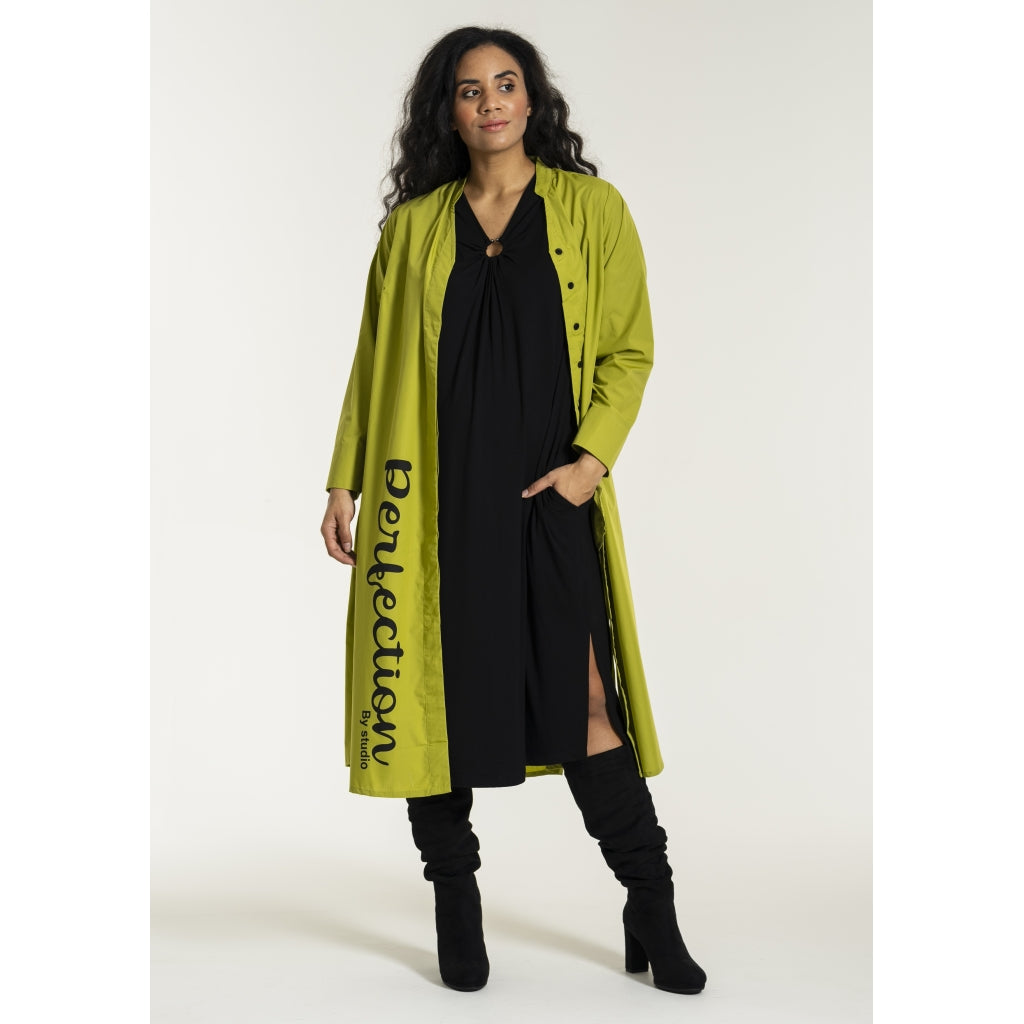 Studio SJean Shirt Dress Shirt Dress Green