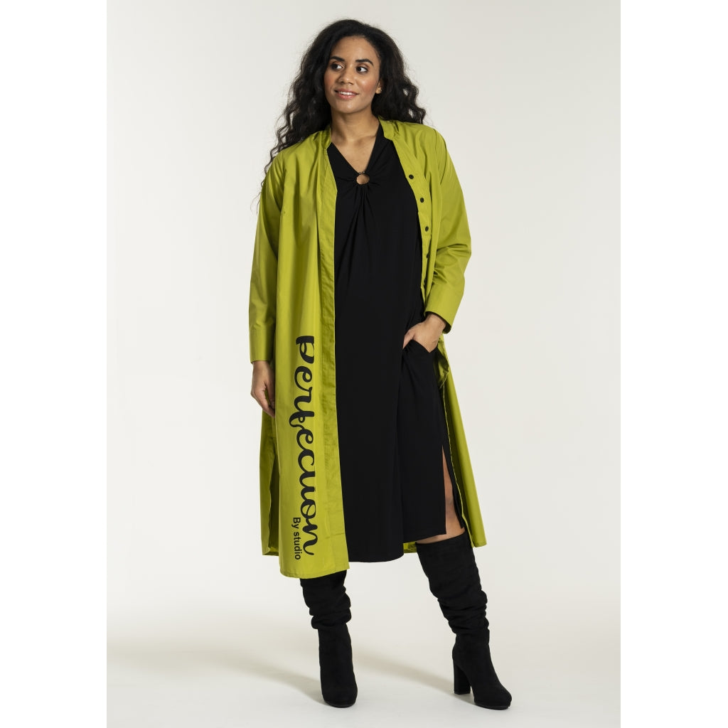 Studio SJean Shirt Dress Shirt Dress Green