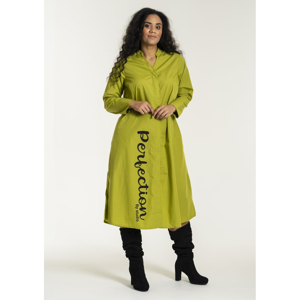 Studio SJean Shirt Dress Shirt Dress Green